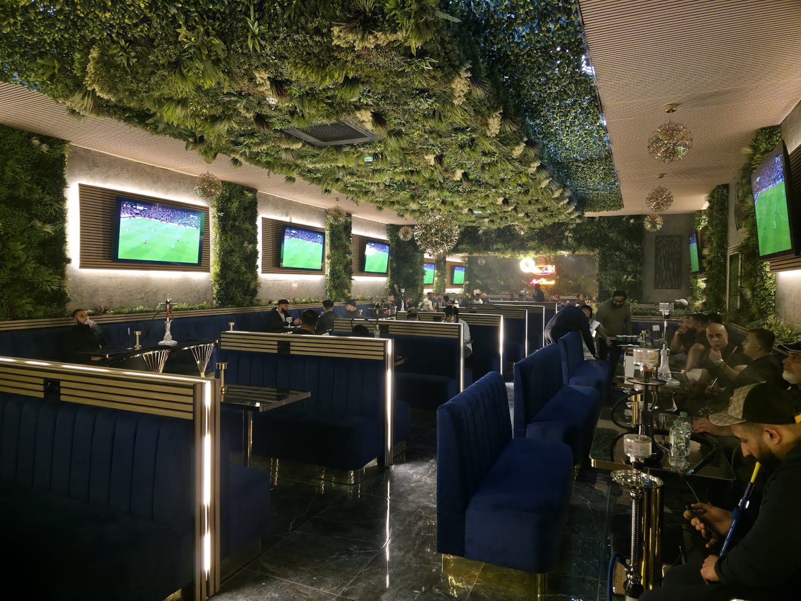 Amazonia Lounge in Birmingham (photo 3)