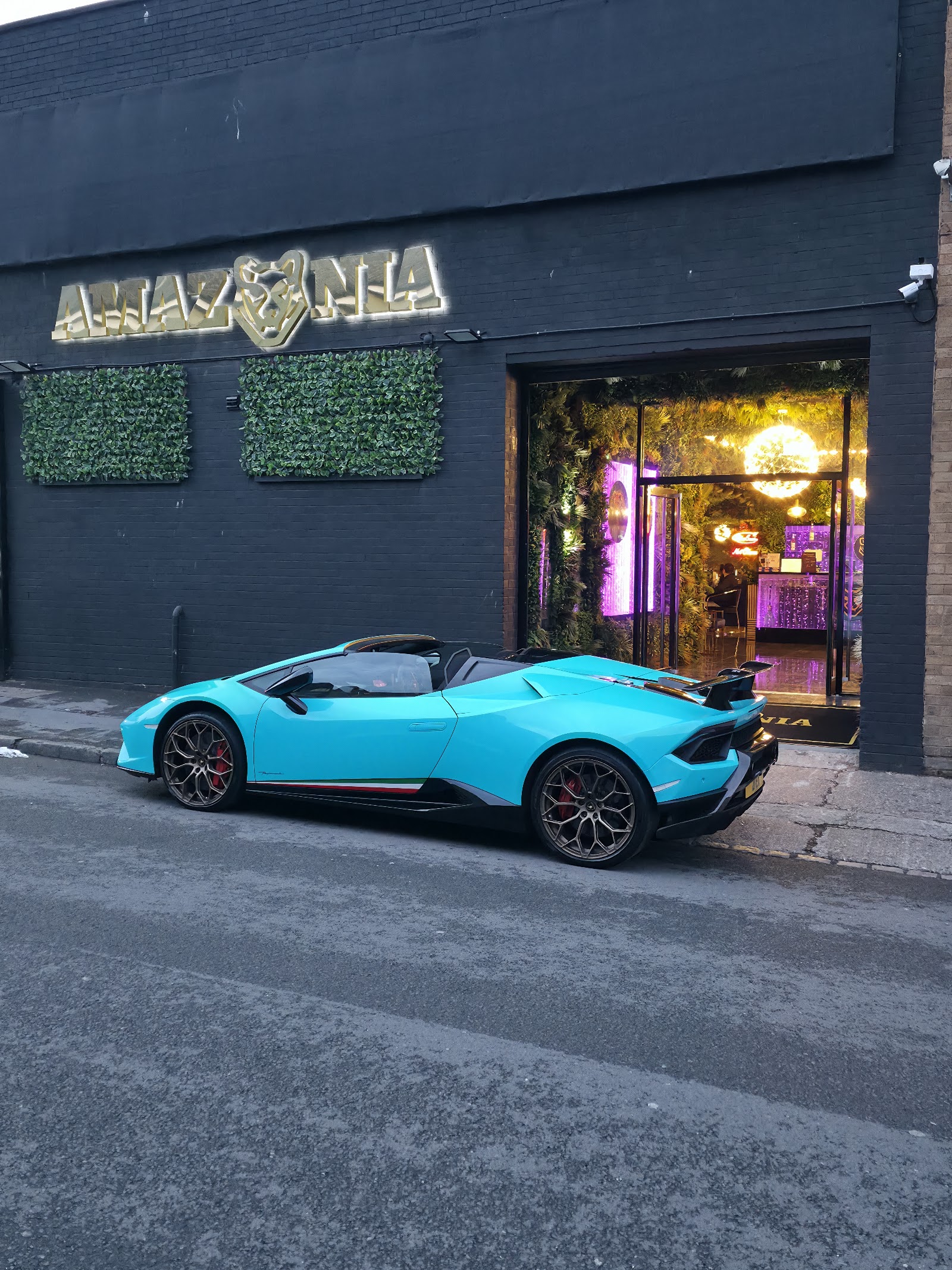 Amazonia Lounge in Birmingham (photo 2)
