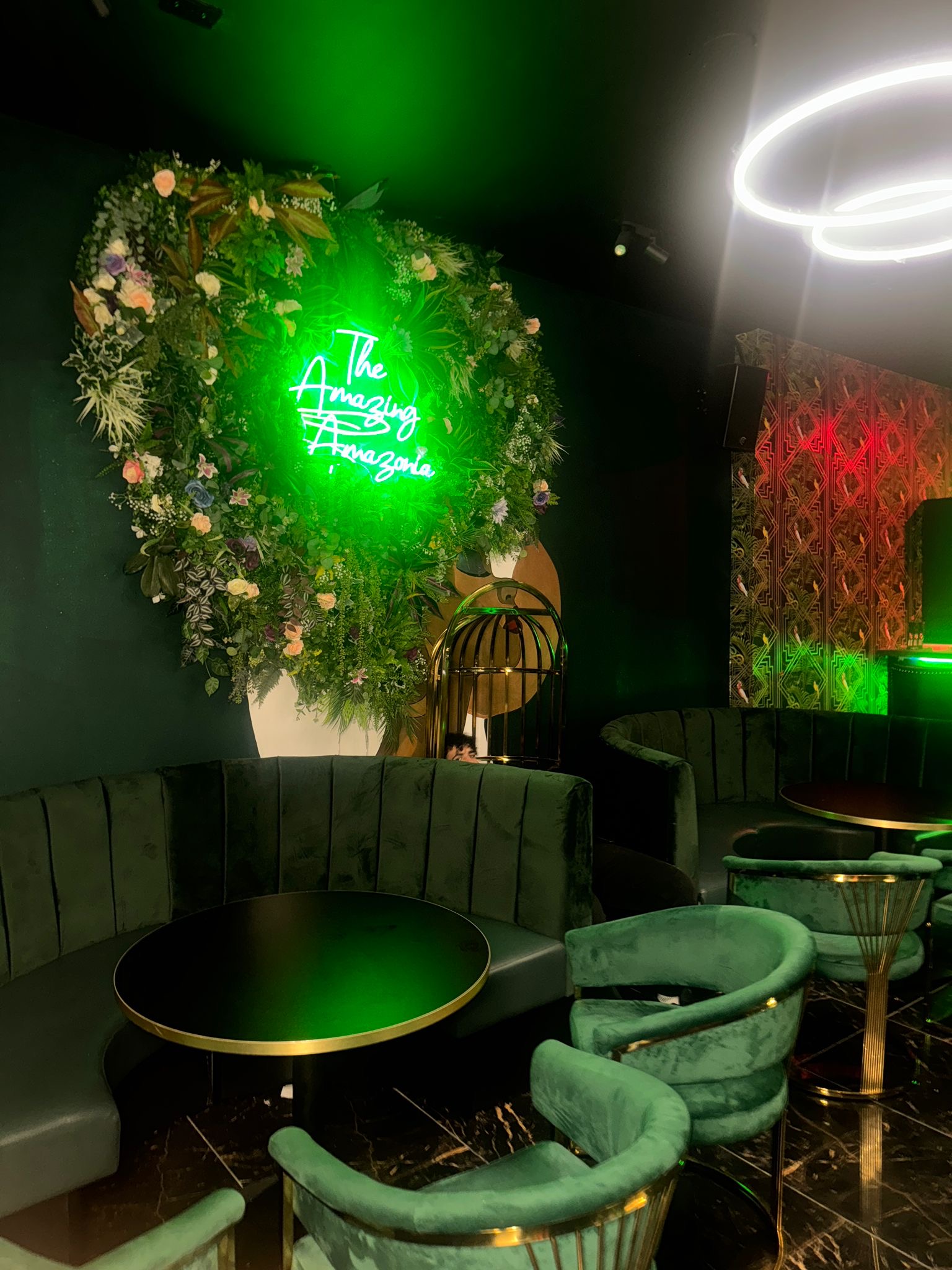 Amazonia Lounge in Manchester (photo 3)