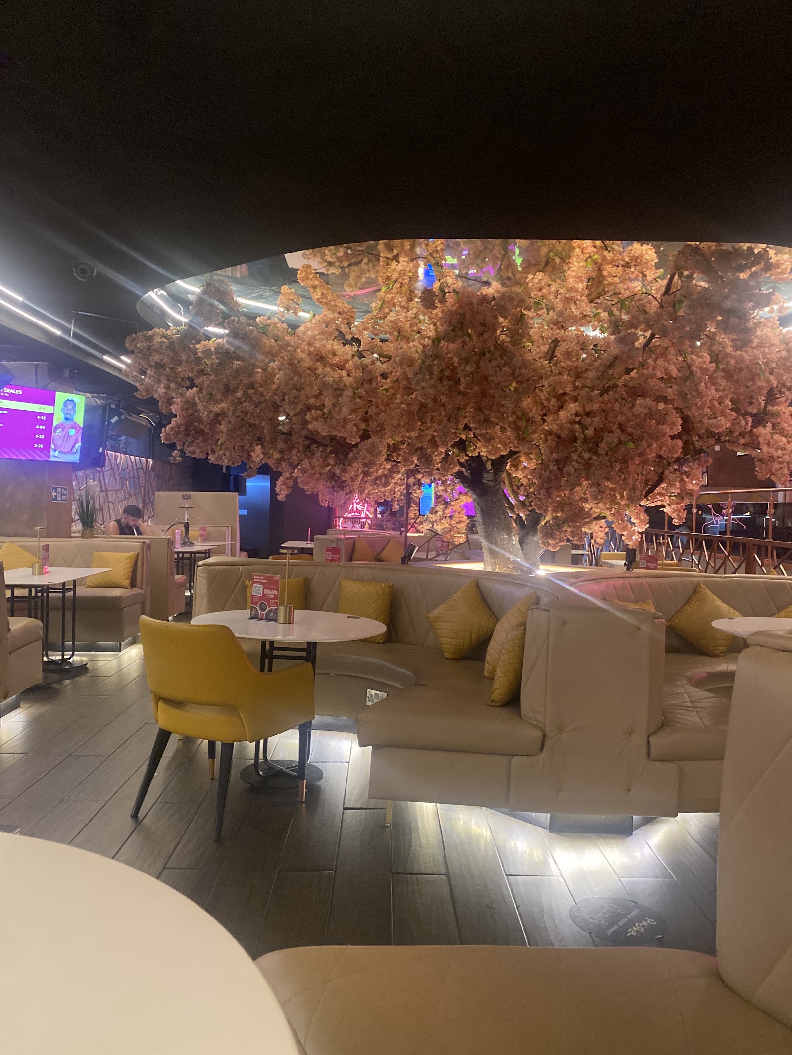 Pasha Shisha in Bradford