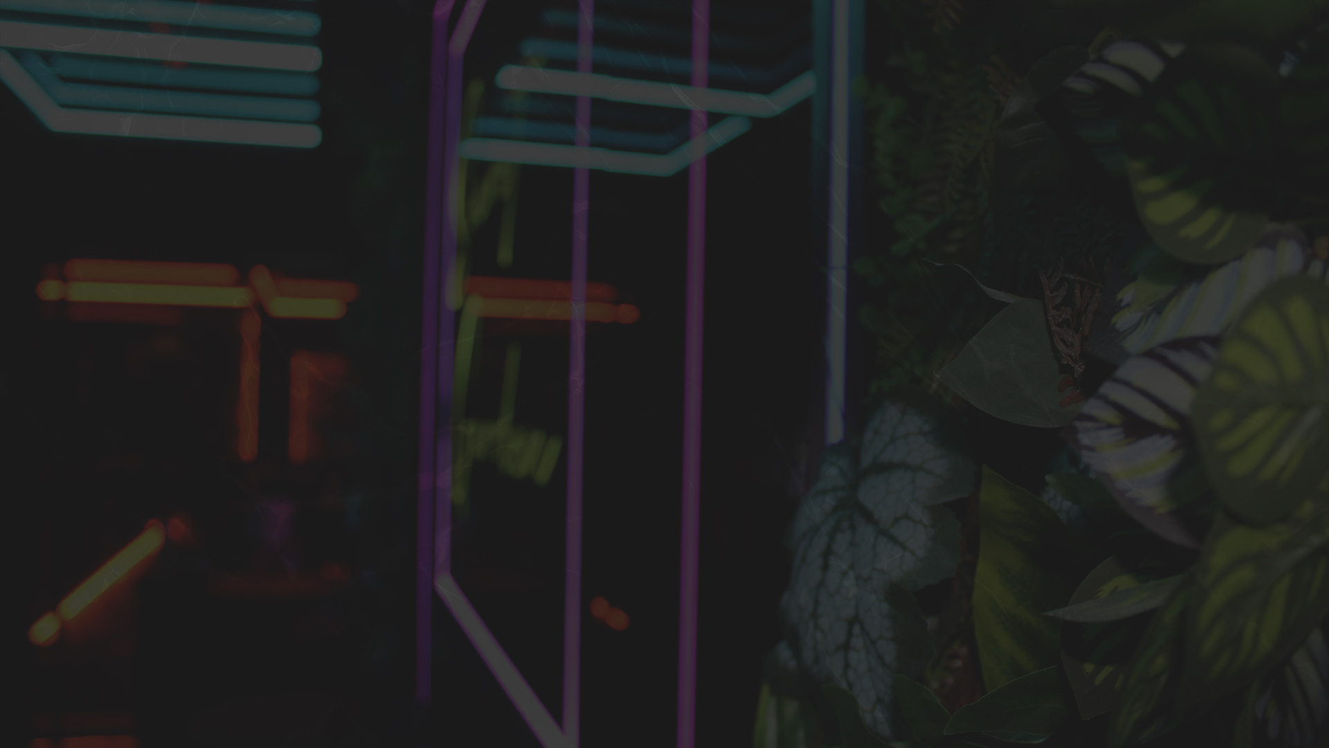 Secret Garden Bar & Lounge in Leicester